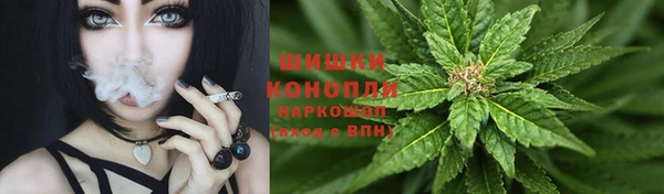 стафф Богородицк