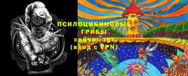 мескалин Богданович