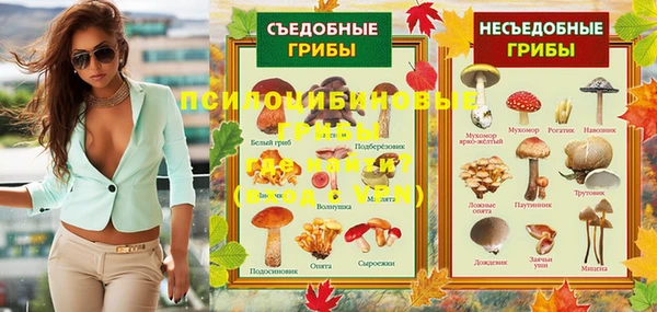 стафф Богородицк