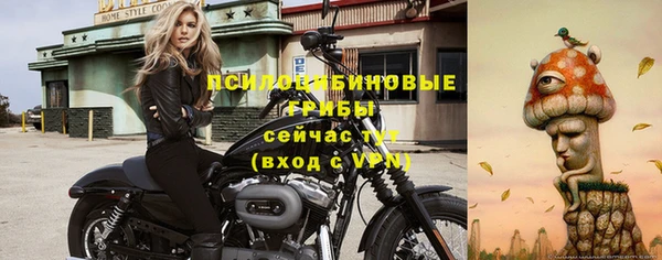 мдма Богородск