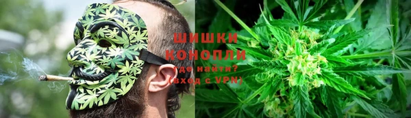 стафф Богородицк